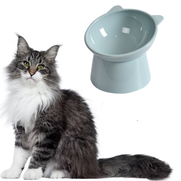 Comedouro para Gato Elevado e Ergonômico