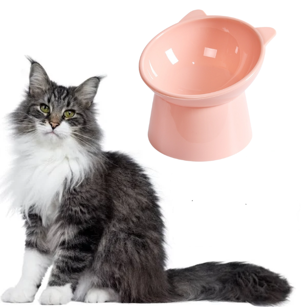 Comedouro para Gato Elevado e Ergonômico