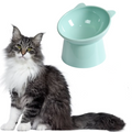 Comedouro para Gato Elevado e Ergonômico